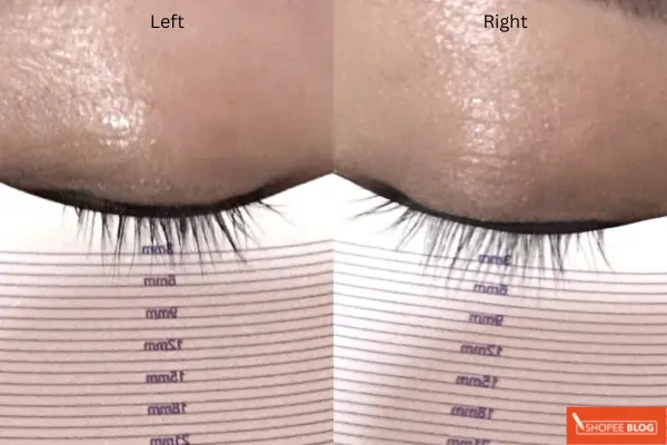 3 days after Xlash Eyelash Growth Serum