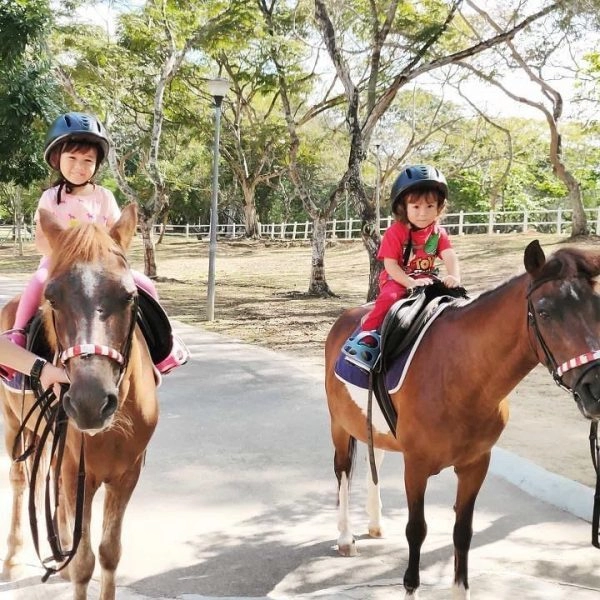 Horse Riding at the Gallop Stable - children's activities december singapore