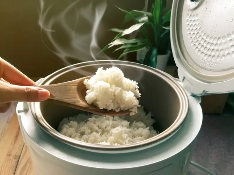 rice cooker