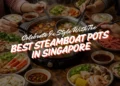 best steamboat pot singapore