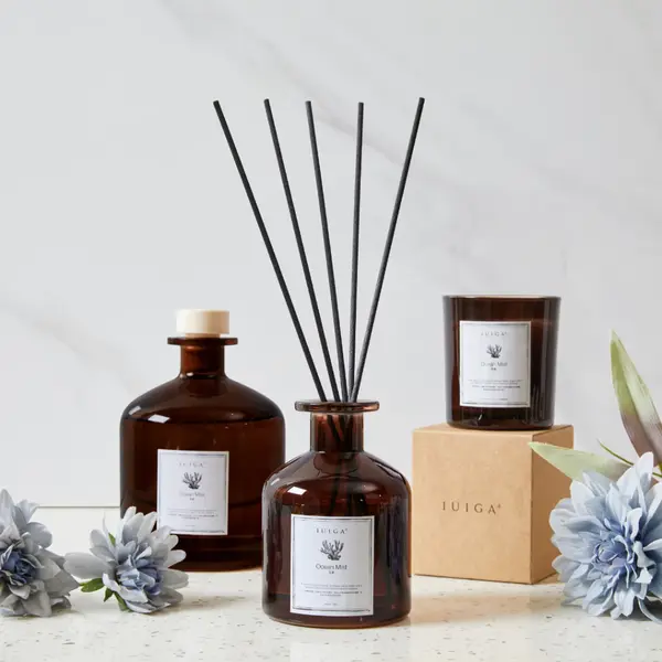 housewarming gift idea singapore: IUIGA Aromatherapy Reed Diffuser with some flowers