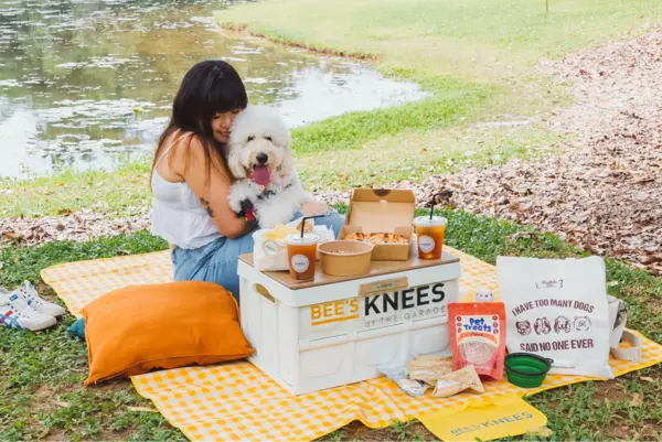 gift for girlfriend singapore: bee's knees pet-friendly picnic bundle