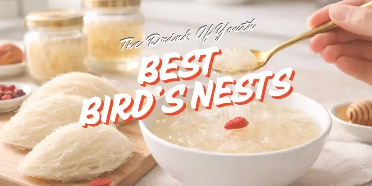 best birds nest singapore