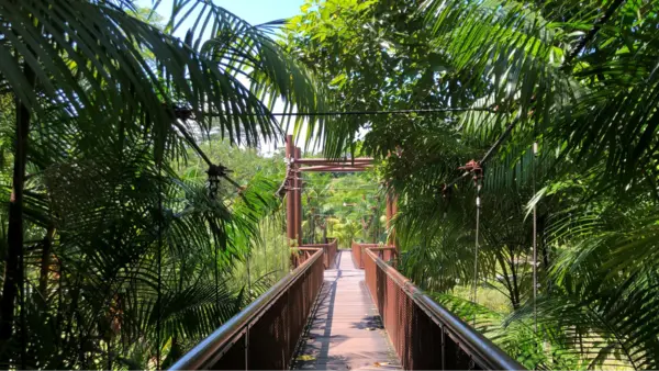 quiet places in singapore: green walkaway along Punggol Waterway Park