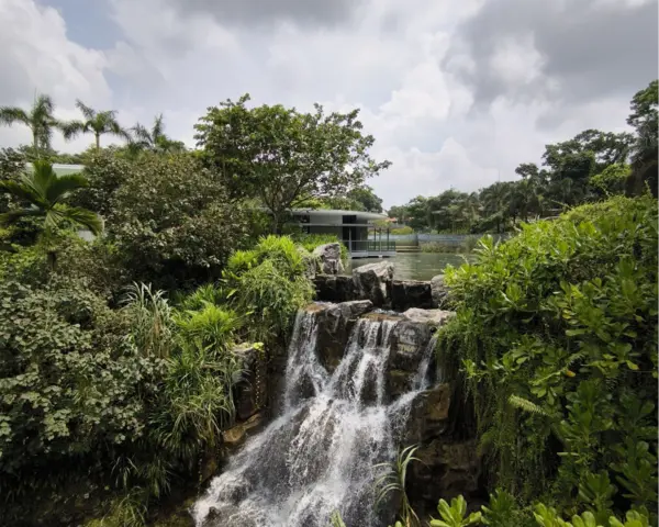 places to chill in singapore: man-made waterfall at yunnan garden NTU