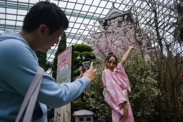 what to do this weekend: take pictures with Sakura at Gardens by the Bay