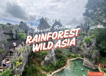 rainforest wild asia unsponsored review