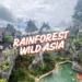 rainforest wild asia unsponsored review