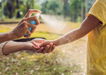 spraying the best mosquito repellent singapore
