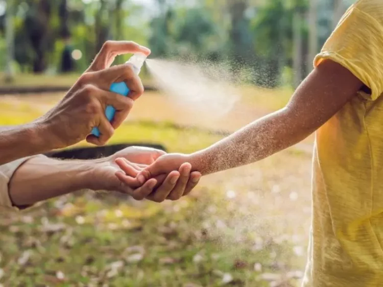 spraying the best mosquito repellent singapore