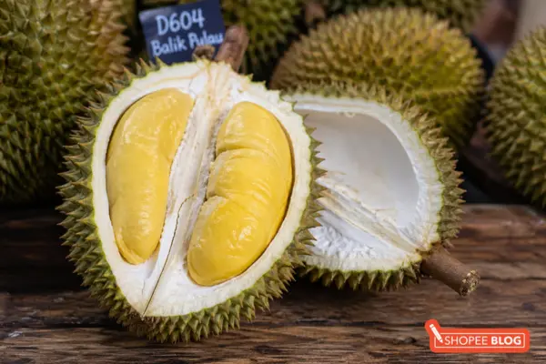 Balik Pulaw Durian