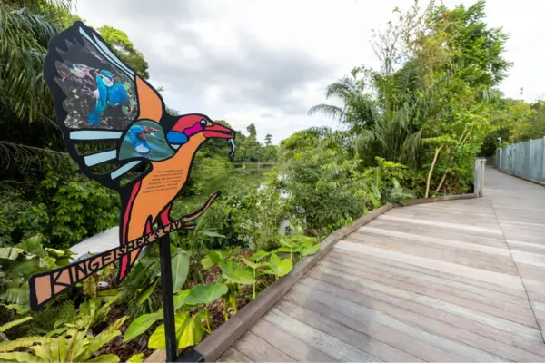Go full zen at the Mandai Boardwalk, featuring KingFisher's Cave