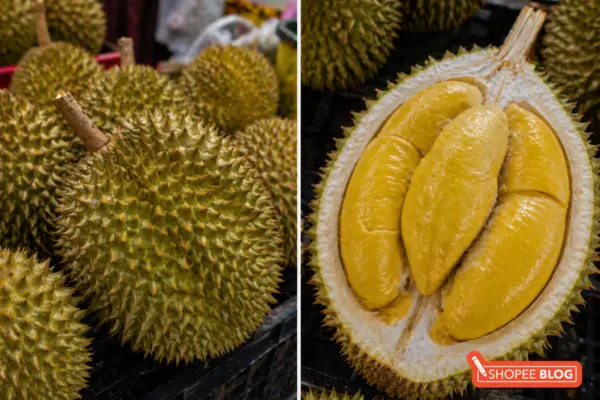 S17 Coffee Durian