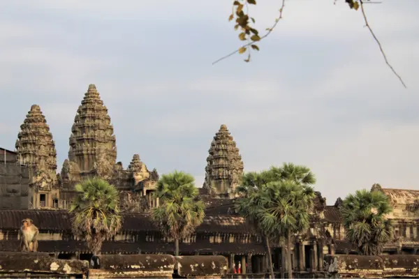 Angkor Wat Siem Reap