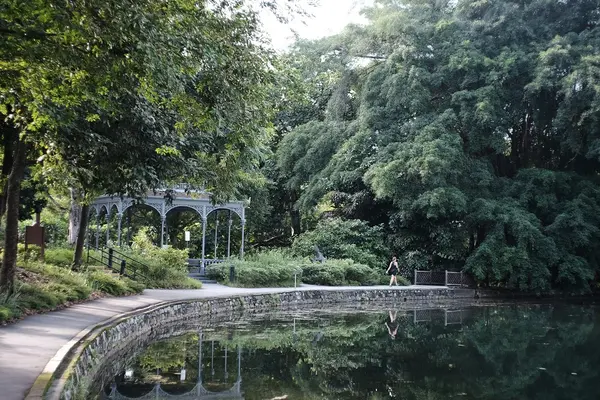 Take a scenic stroll at Singapore Botanic Gardens