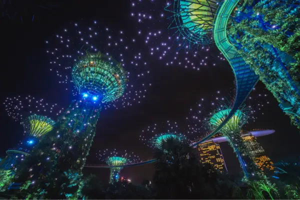 Wander beneath the Supertree Grove