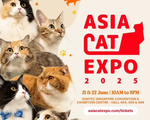 events this weekend: Asia Cat Expo 2025