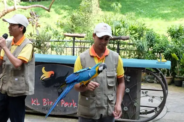 kl bird park things to do in kl