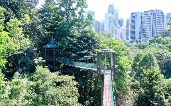 kl forest eco park things to do in kl