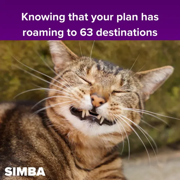best esim singapore: SIMBA