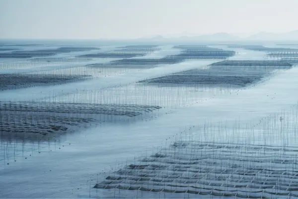 things to do in fuzhou: watch the sunset at Xiapu infinite mudflats