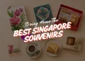 singapore souvenirs