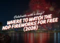 where to watch ndp fireworks