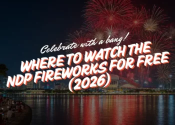 where to watch ndp fireworks