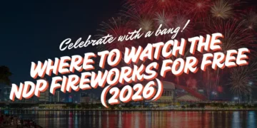 where to watch ndp fireworks