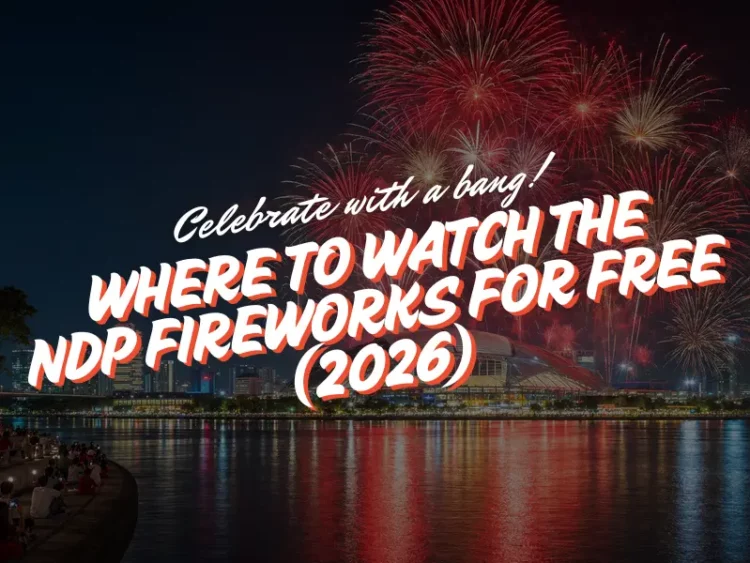 where to watch ndp fireworks