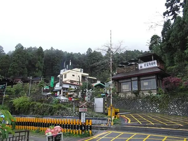 afternoon stop by fenqihu to admire the bamboo forest and enjoy local produce taiwan road trip 
