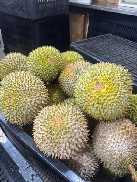 durian stalls singapore