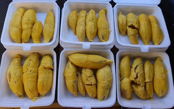 best durian singapore: Bentong Durian