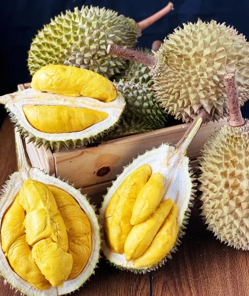 durian stalls singapore