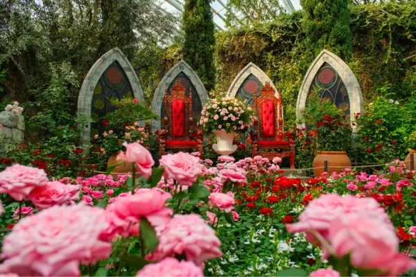 what to do in singapore this weekend: bring your partner to Rose Romance – Floral Display at Gardens by the Bay