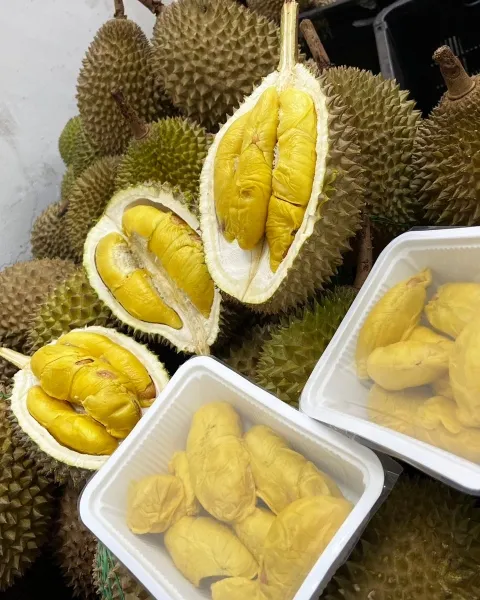durian stalls singapore