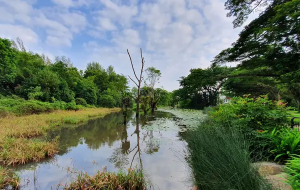 places to bring kids in singapore: Hampstead Wetlands Park