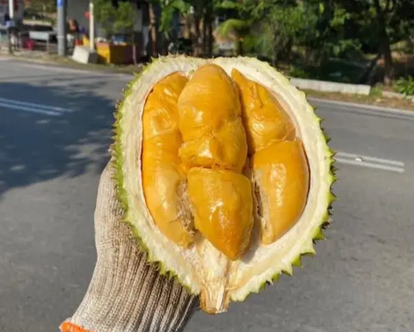 cheap durian singapore: Lele Durian