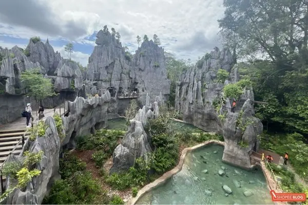 kids activities singapore: Visit Rainforest Wild ASIA