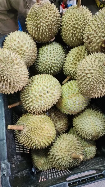 durian stalls singapore