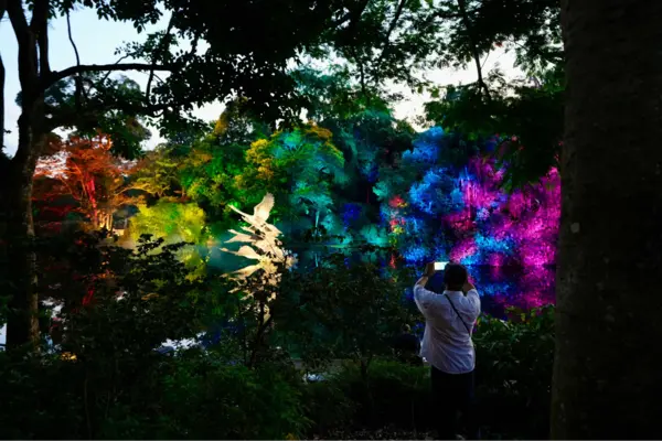 what to do in singapore this weekend: drop by the Singapore Botanic Gardens Heritage Festival with your children