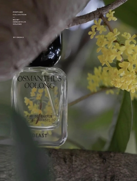 The Beast (野兽派) chinese perfume brand