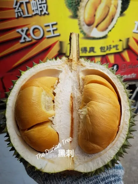durian stalls singapore