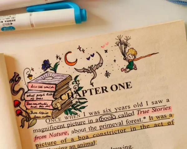 The Little Prince Universe