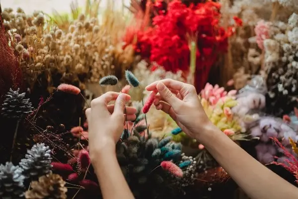 zhong she flower market things to do in taiwan