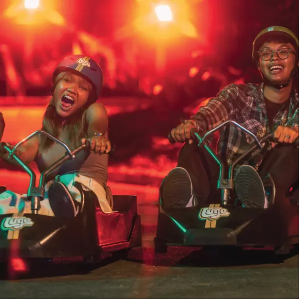 what to do at night singapore: Night Luge at Skyline Luge Sentosa