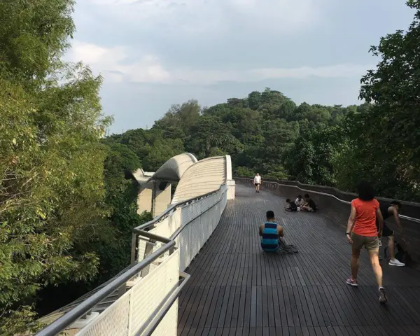 what to do in singapore at night for free: Walking along the Southern Ridges