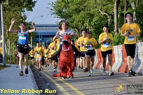 Why is everyone running: Yellow Ribbon Run