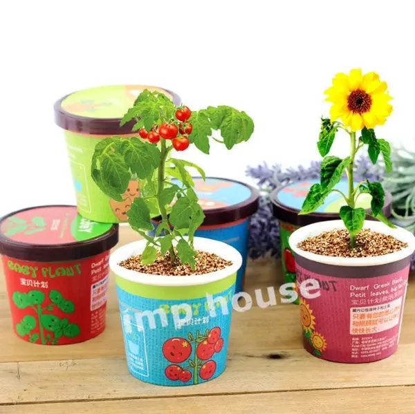 DIY Mini Indoor Garden - children's day gift