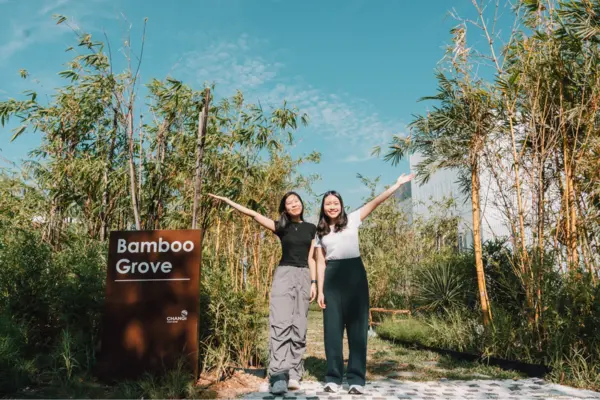 things to do in singapore this weekend: visit the Bamboo Grove at Changi Airport T2